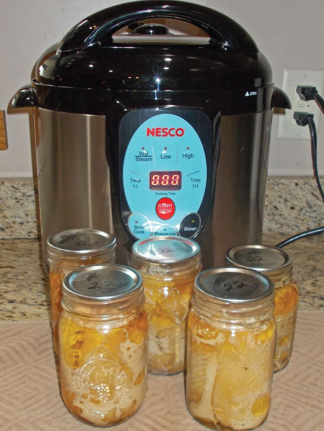 I Am Re-Discovering the Joys of Home Canning In A Nesco
