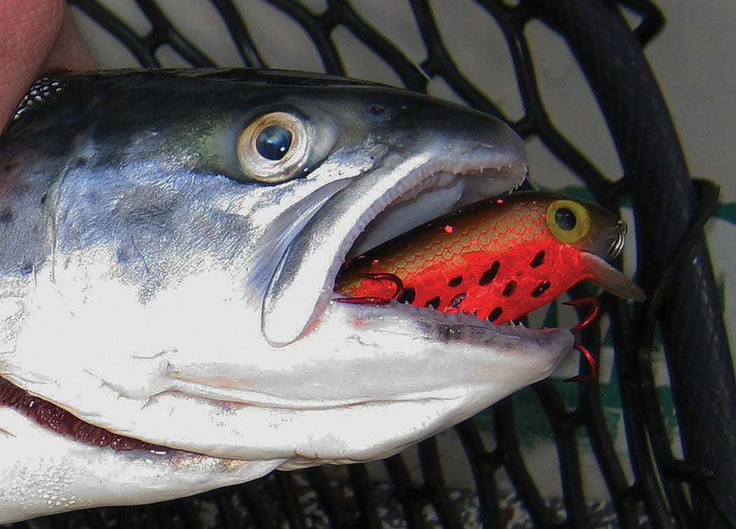 CRANKBAIT TWEAKS FOR FUN AND FISH - Captain Mike Schoonveld – Great Lakes  Angler