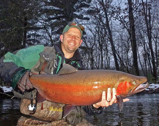 LAKE MICHIGAN BIG FISH ENIGMA - by Jim Bedford