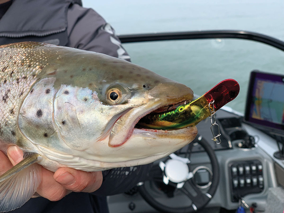 A GAME PLAN FOR SPRING BROWN TROUT - Mark Romanack Great Lakes Angler A GAME PLAN FOR SPRING BROWN TROUT - Mark Romanack Great Lakes Angler