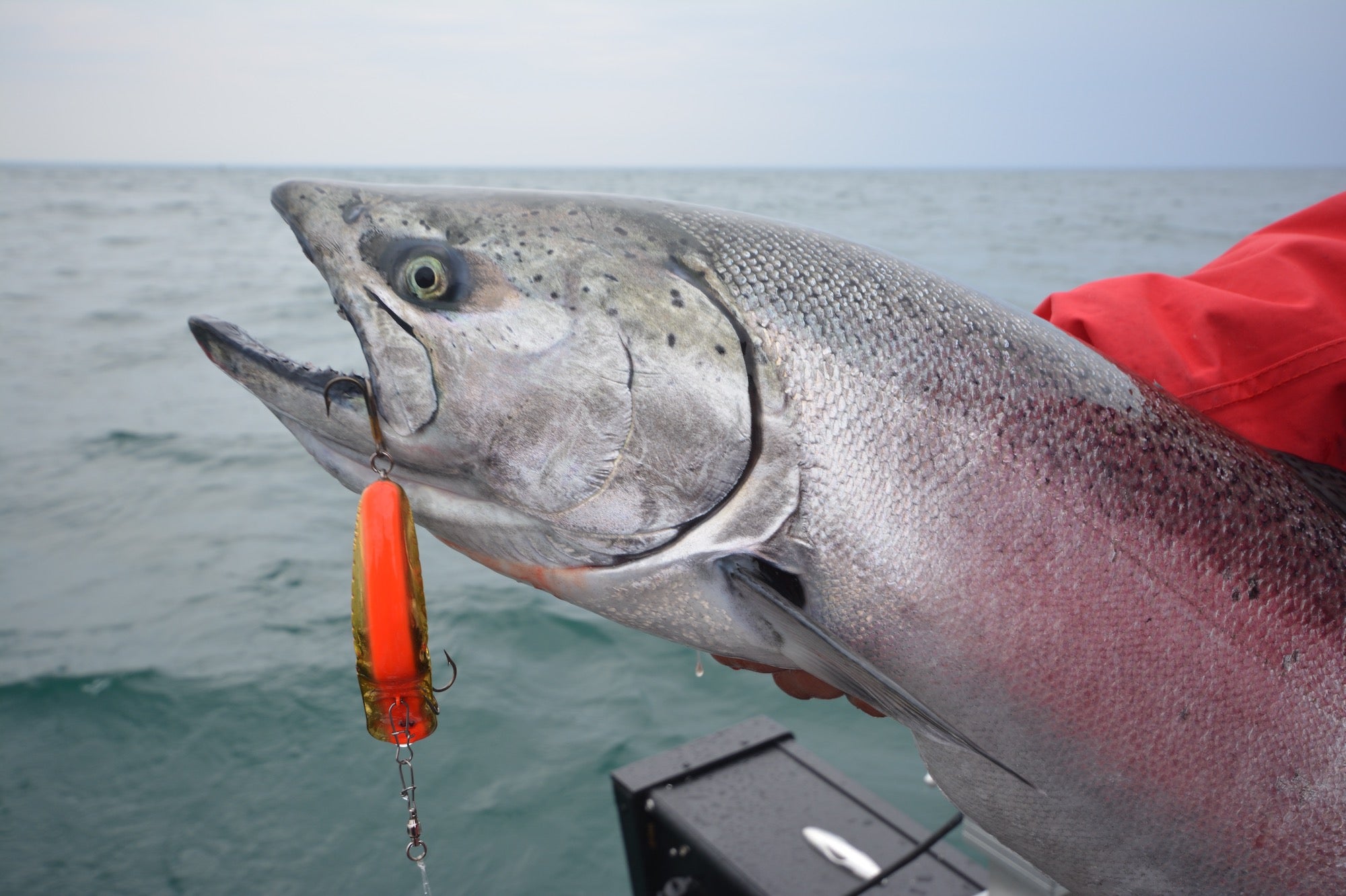 Getting the Most from Sinking Lines by Mark Romanack – Great Lakes Angler