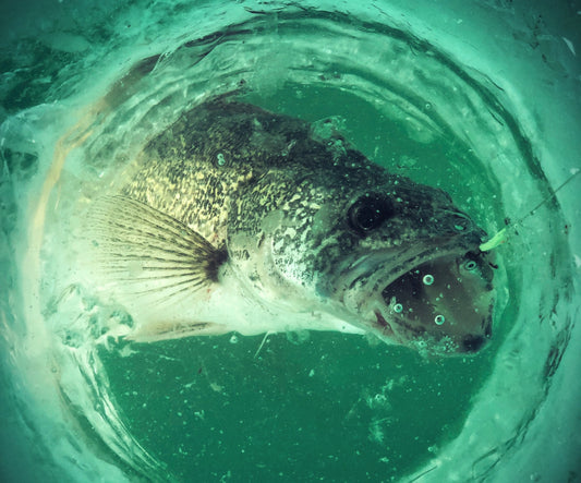 Mapping a Way to Great Lakes Walleye by Mark Romanack (Fishing 411 TV)