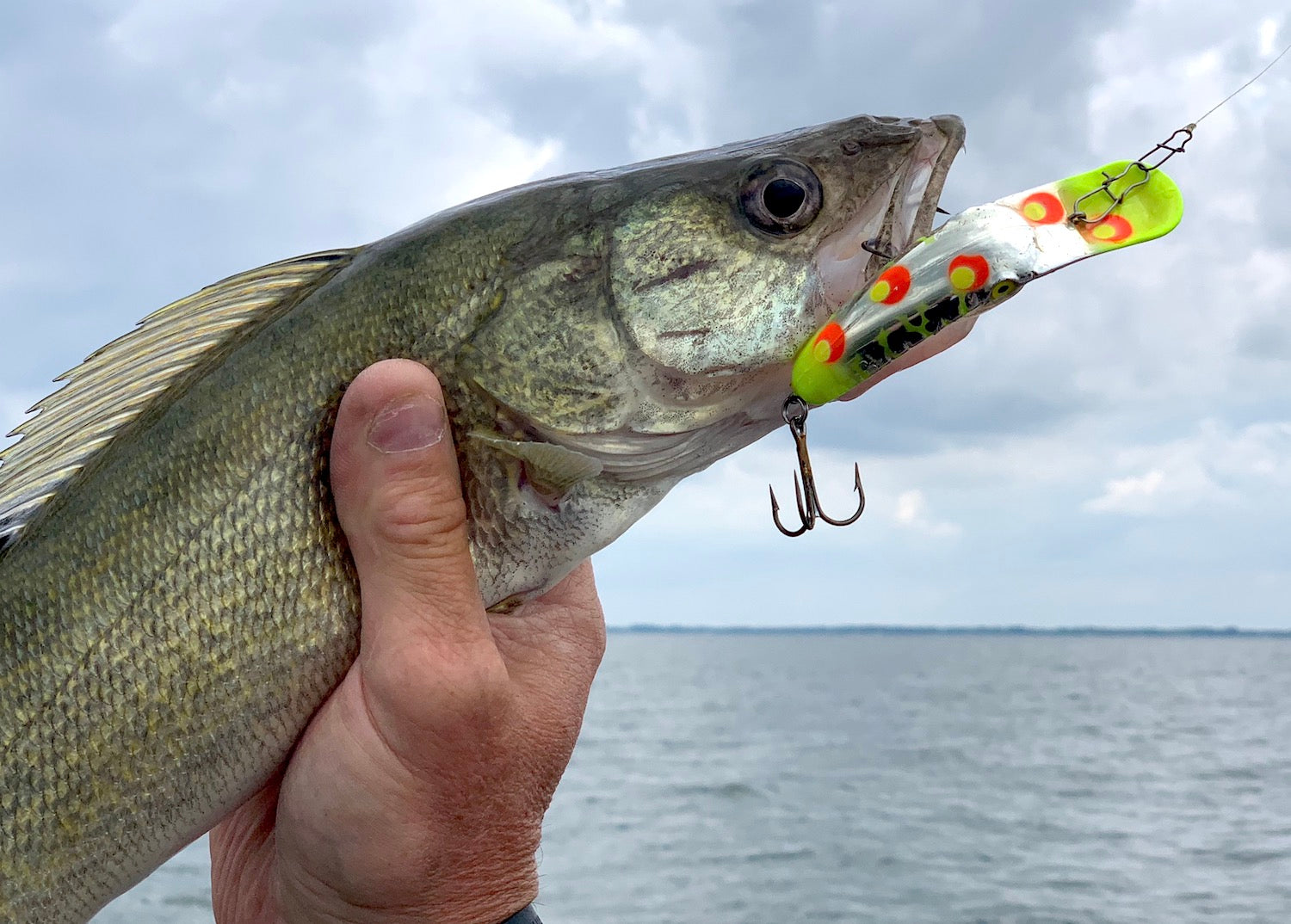 Top 3 Lures For Spring Walleye 