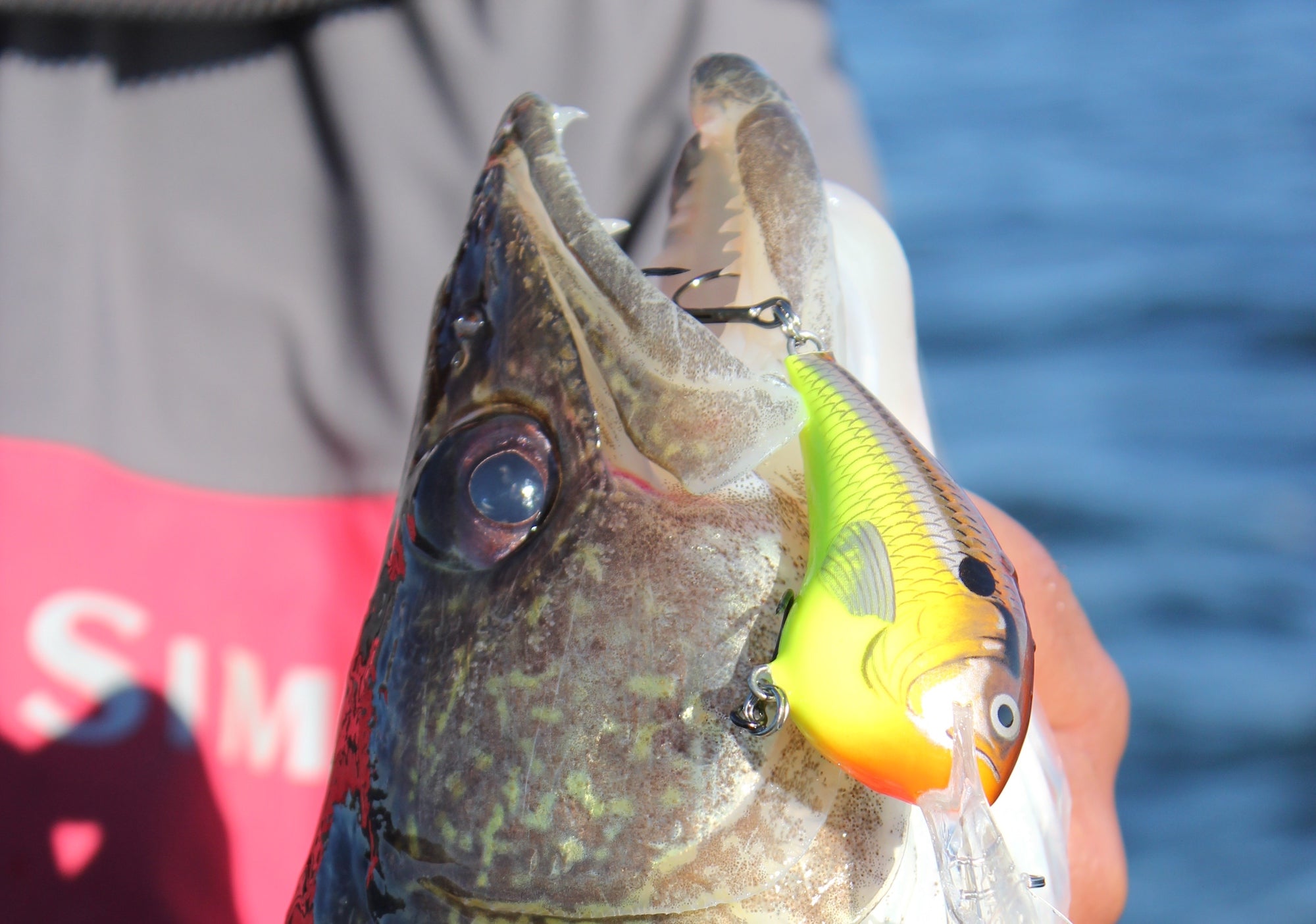 Walleye Fishing Tackle and Gear