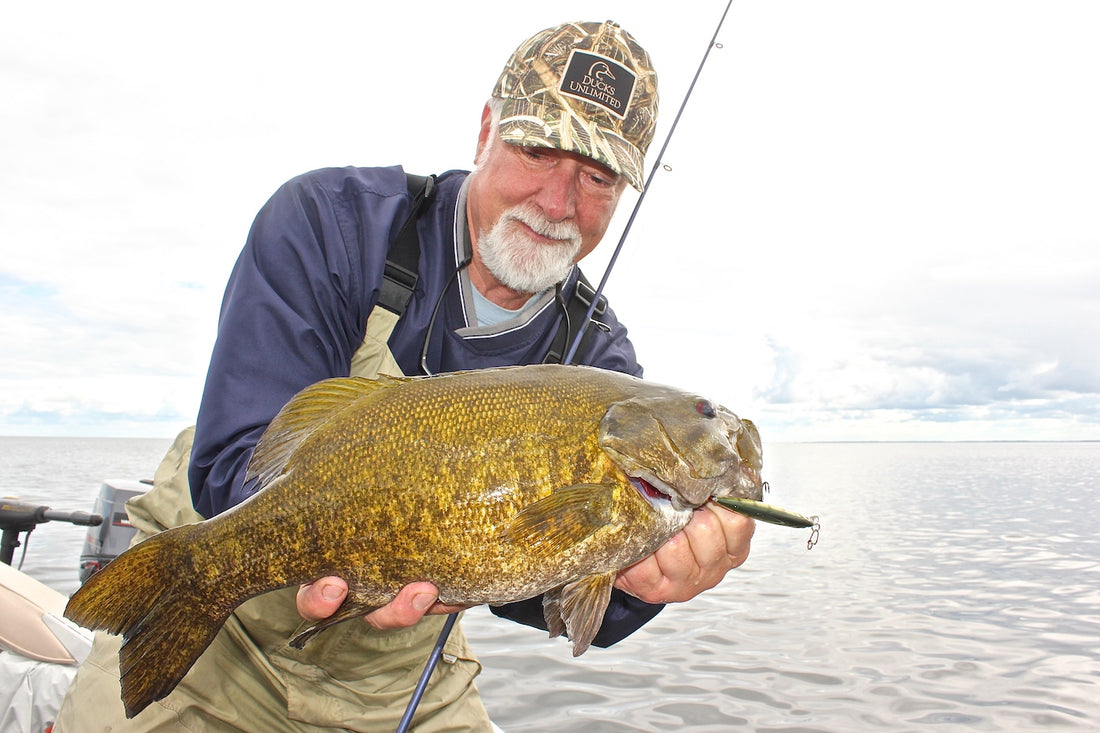 Jerkbait Bass - Building Suspense by Matt Straw