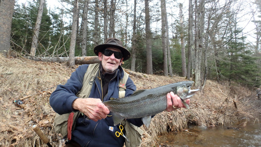 Bois Brule River, Wisconsin By Dr. Wally Balcerzak
