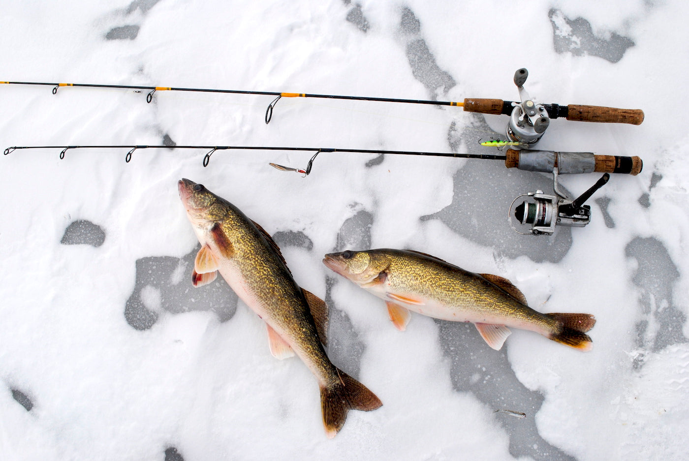 Saginaw Walleye Ice Fishing by Bob Gwizdz – Great Lakes Angler