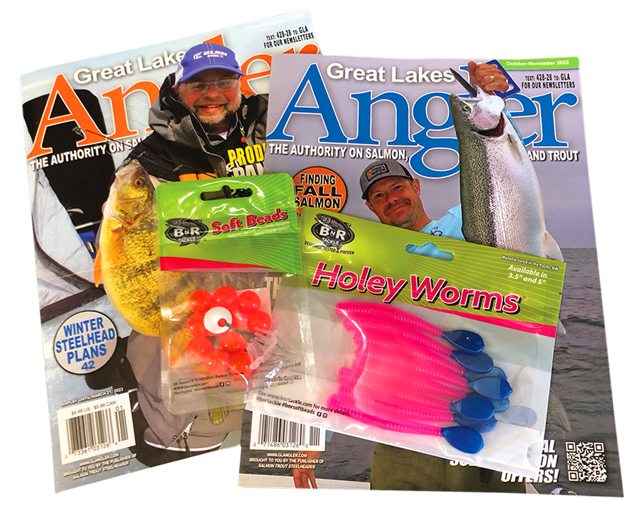 BnR BEADS PLUS A FREE PACK OF HOLEY WORMS WHEN YOU SUBSCRIBE OR BOOST TO GLA!