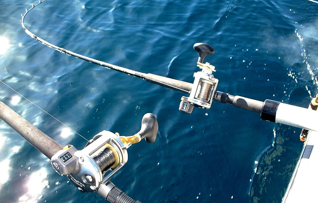 Double Duty Diver Reels by Capt. Mike Schoonveld