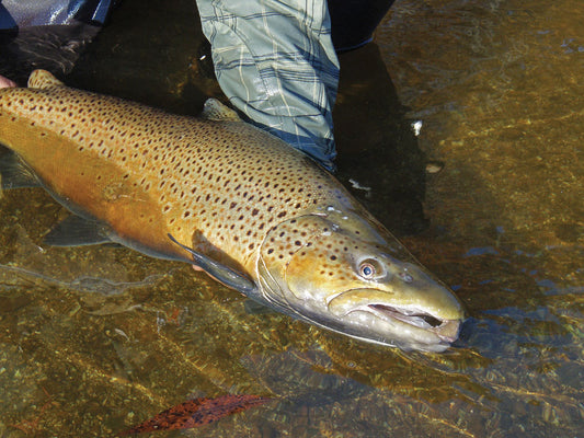 THE ART OF FISHING SINKING LINES - by Jim Teeny