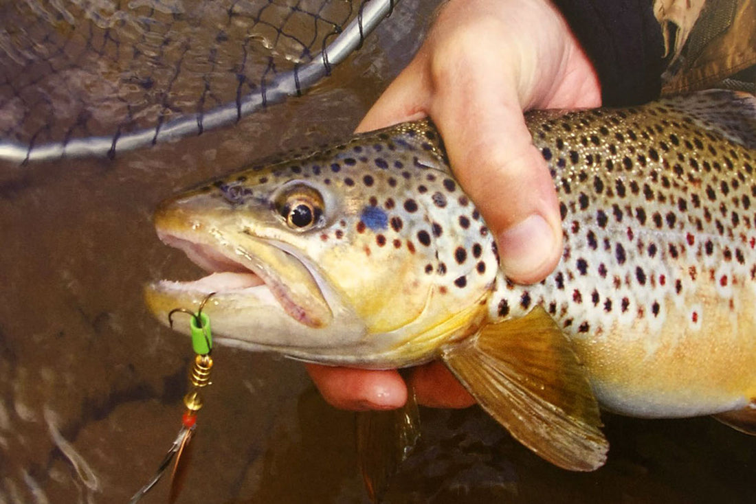 SPINNER FISHING TACKLE AND EQUIPMENT - Jim Bedford Great Lakes Angler SPINNER FISHING TACKLE AND EQUIPMENT - Jim Bedford Great Lakes Angler