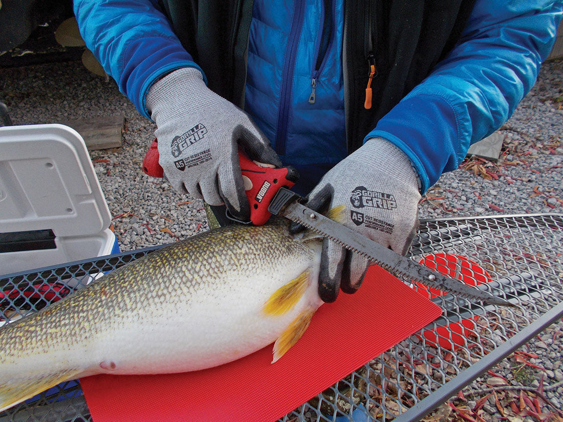 CUTTING AND CLEANING: QUESTIONS AND ANSWERS - Captain Mike Schoonveld