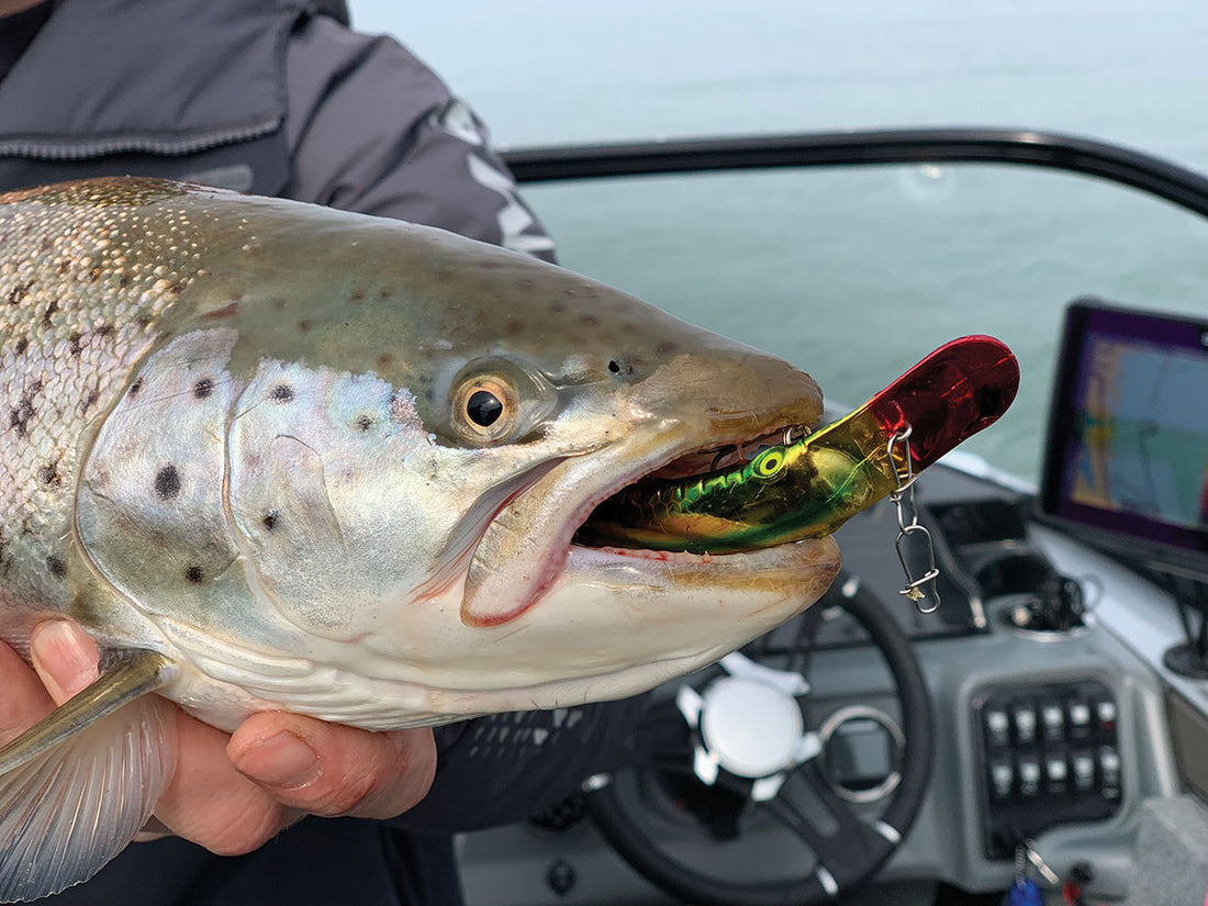 A GAME PLAN FOR SPRING BROWN TROUT - Mark Romanack Great Lakes Angler A GAME PLAN FOR SPRING BROWN TROUT - Mark Romanack Great Lakes Angler