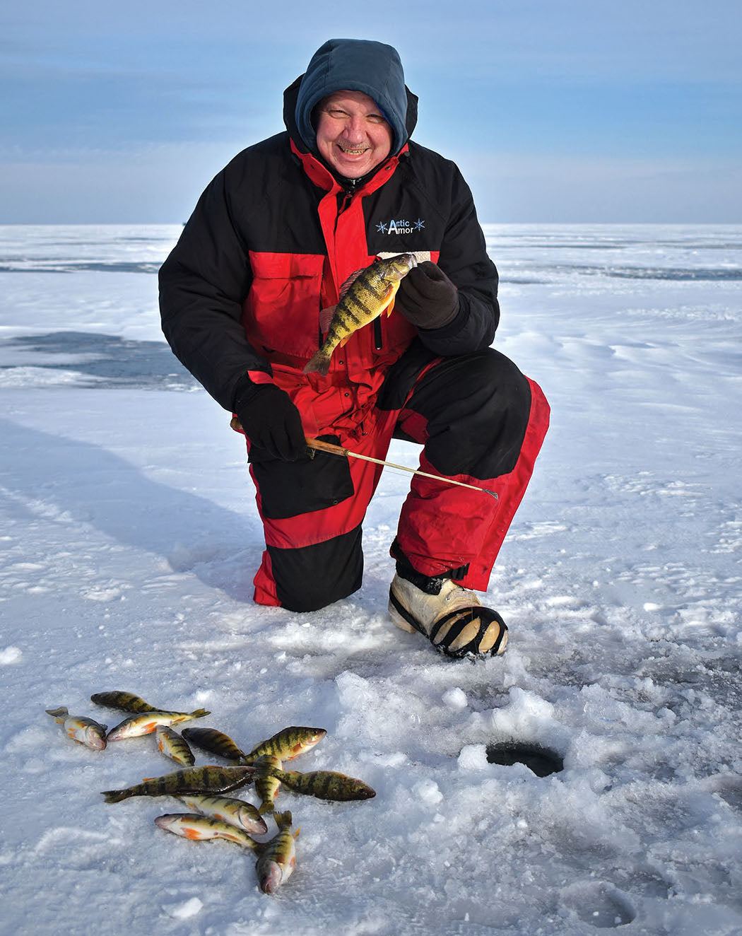 PERCH ON ICE - Robert Gwizdz