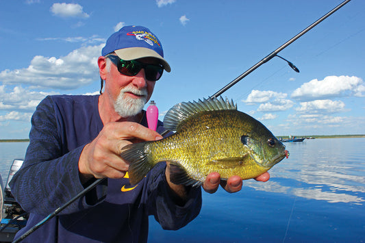 RIVER PANFISH: SPRING PARADIGMS - Matt Straw