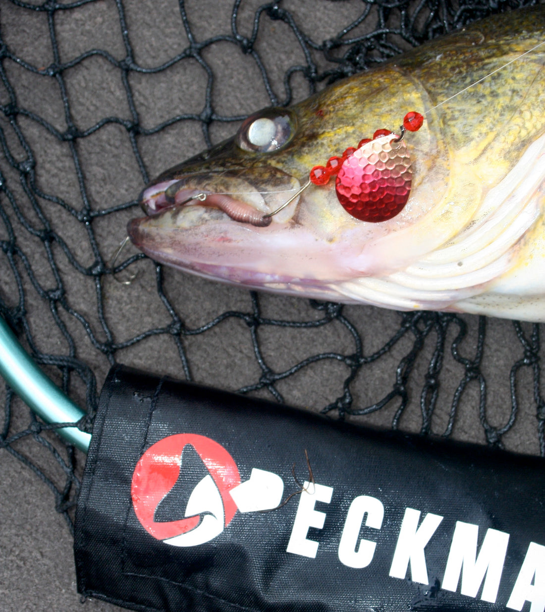 Walleye Fishing: A Big Spin on the Big Water by Keith Jackson