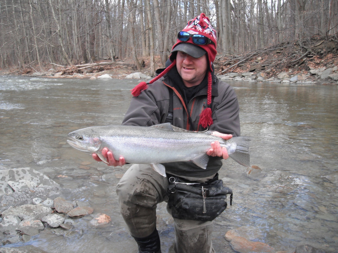 Transition Steelhead by Brian Kelly