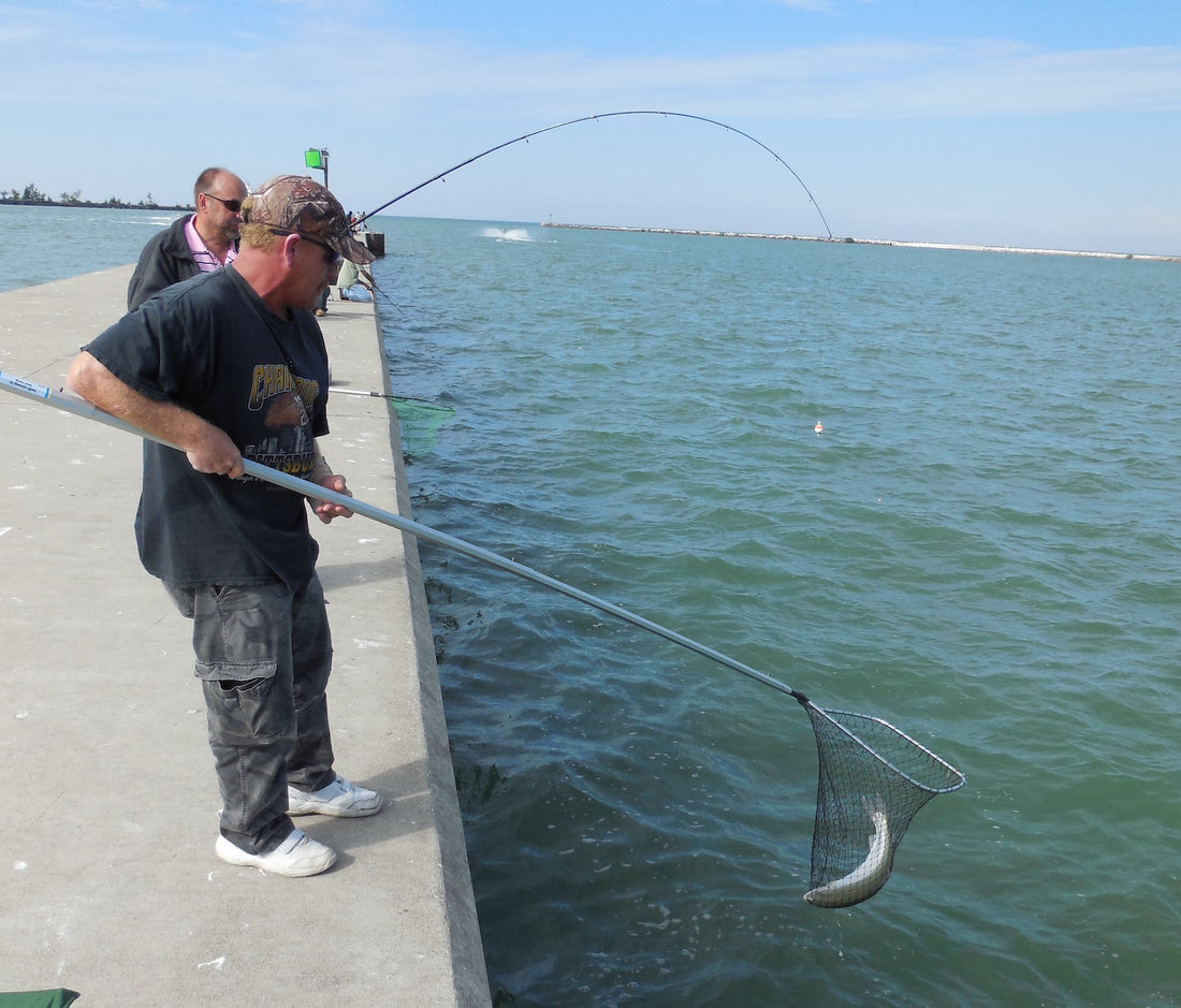 Shore Easy Steelhead by Paul M. Liikala – Great Lakes Angler