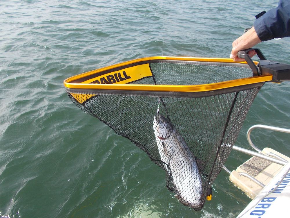 best salt water fish landing nets Promar Promesh Net 36 duty anodized aluminum telescopic handles with EVA grips for comfort Toyotas, Trolling Plates, Landing Nets