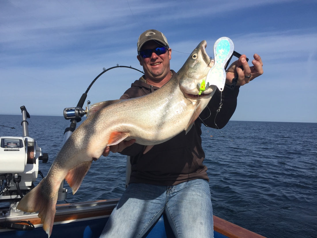 Those Special Spinning Lake Trout Baits by Darryl Choronzey
