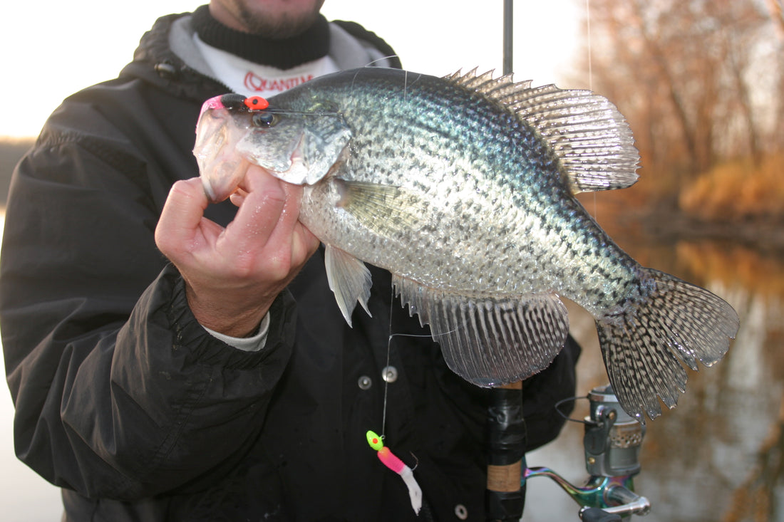 A Compass for Spring Crappies By Matt Straw