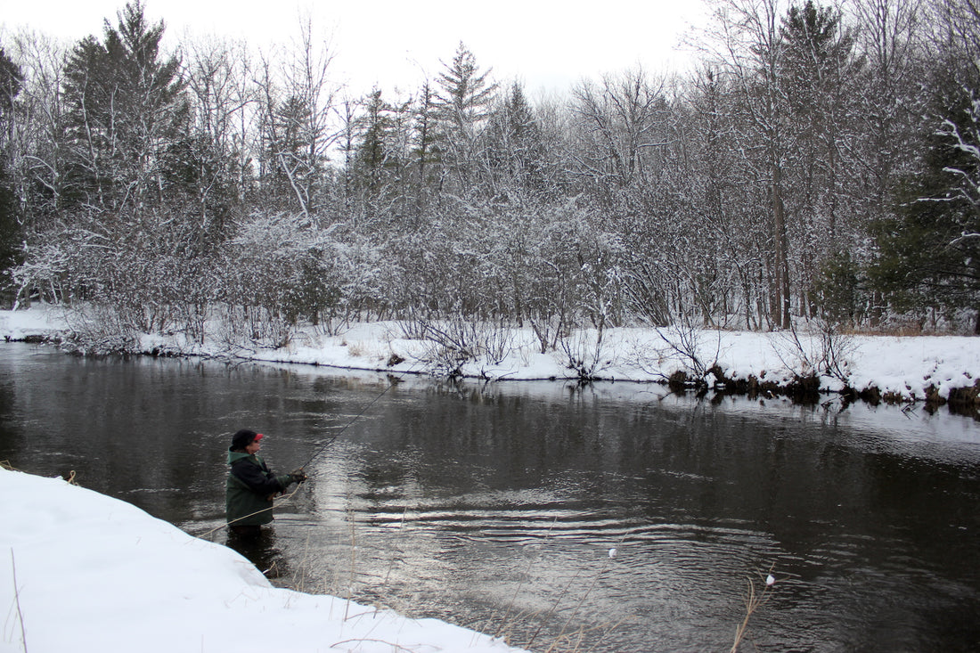 Steelhead Rules on Winter Streams by Matt Straw
