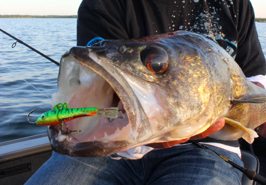 Power Jigging Walleyes by Matt Straw