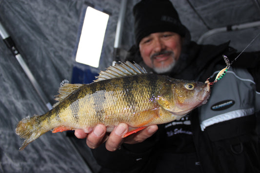 Ice Fishing for Perch by Matt Straw (Space Invaders, Spoons, and Portly Perch)