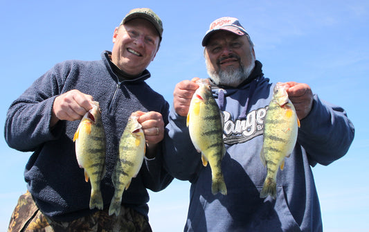 When Lake Erie Perch Are on, They Are on Fire! by Bill Hilts Jr.