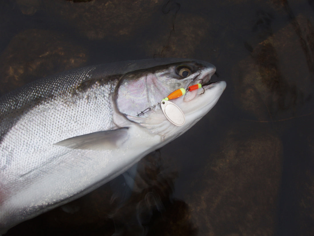 The Right Lure (Visibility and Sizes) by Jim Bedford – Great Lakes