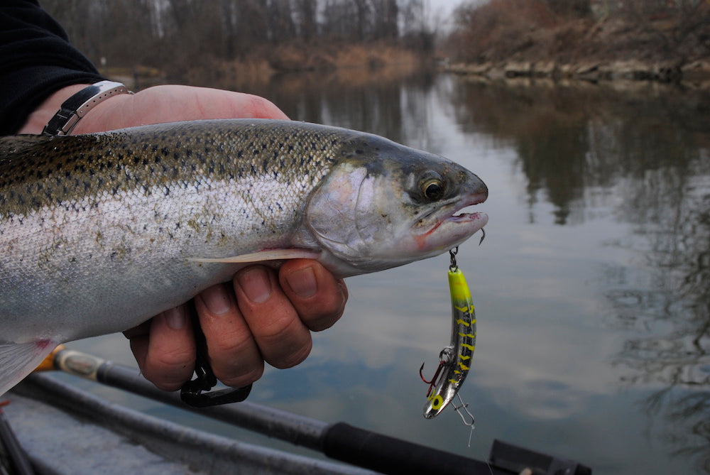 Michigan’s Least Appreciated Steelhead Stream by Robert Gwizdz