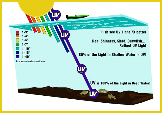 Flash In the Dark (UV Light & Fishing) by Keith Jackson