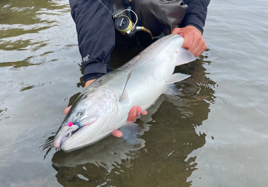 The Best Coho Salmon River in the World | A Destination Fishery