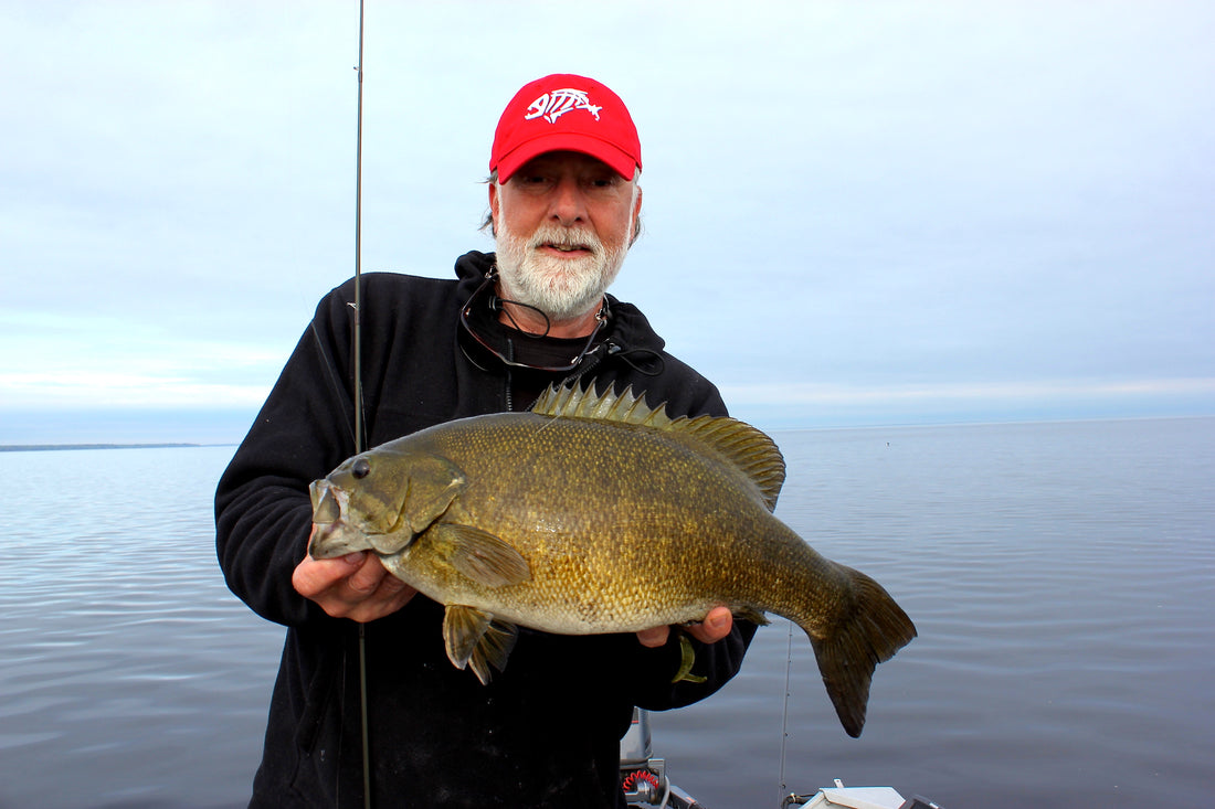 Finding the HOTTEST Bites, When Species Collide by Matt Straw – Great  Lakes Angler