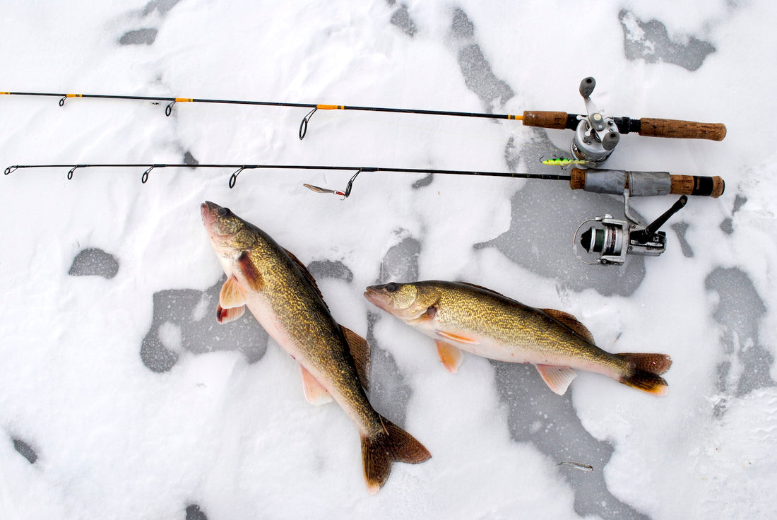 Saginaw Walleye Ice Fishing by Bob Gwizdz