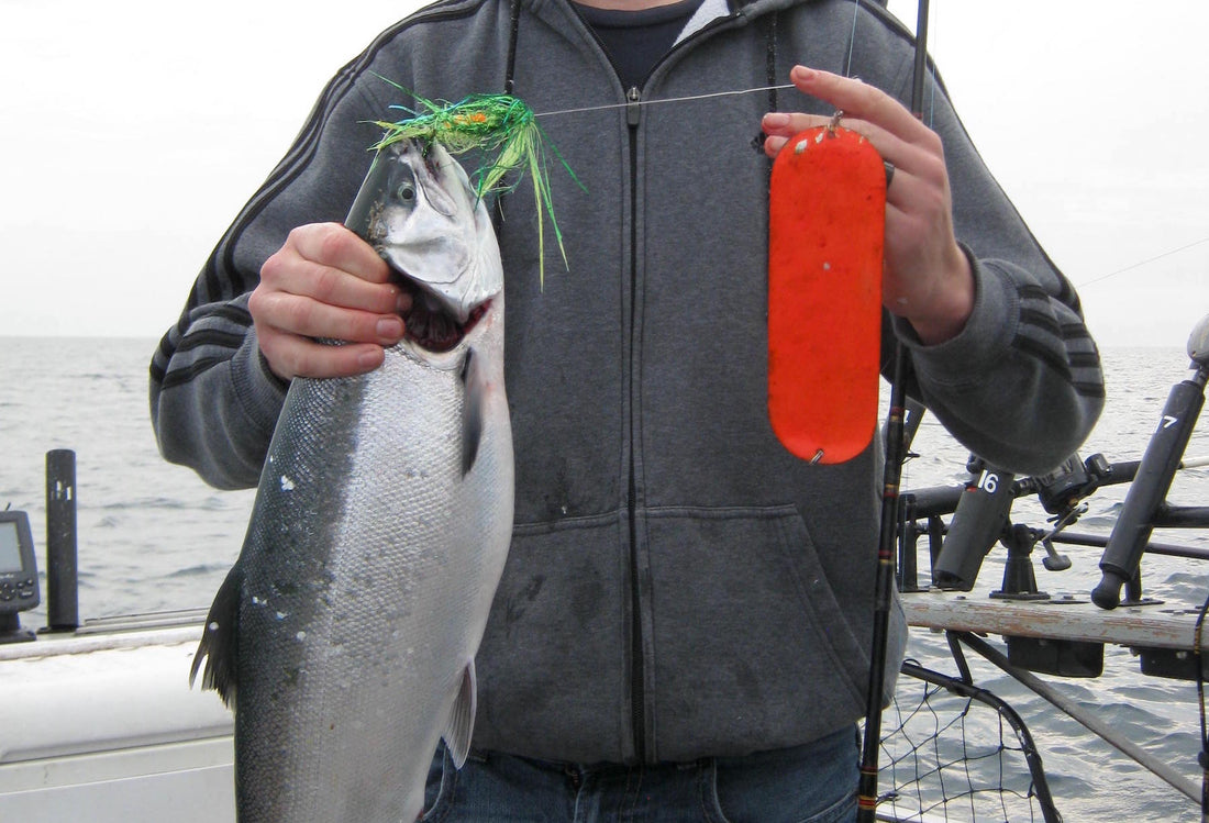 Leader of the Flies by Capt. Mike Schoonveld – Great Lakes Angler